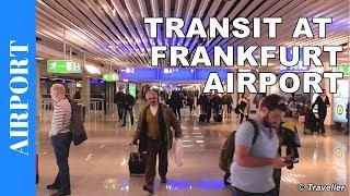 TRANSIT WALK AT FRANKFURT Airport FRA Terminal 1  Connection Flight Transfer Arriving amp Departing [upl. by Collis506]